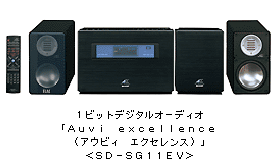 SDSG11EV