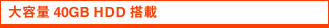 ��e��40GB HDD����