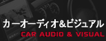 CAR AUDIO