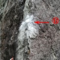 榛名黒岩 サルバドール 5.13a